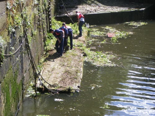 Putney Sea Scouts cleaning the Beverley Brook.